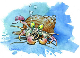 Russell the Hermit Crab